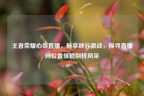 王者荣耀心哥直播,畅享峡谷激战,探寻直播间位置领略别样风采