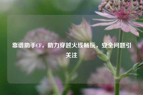 靠谱助手CF，助力穿越火线畅玩，安全问题引关注