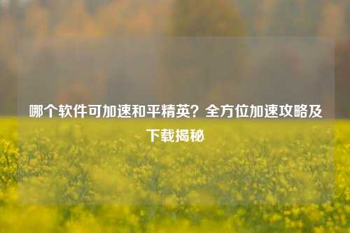 哪个软件可加速和平精英？全方位加速攻略及下载揭秘
