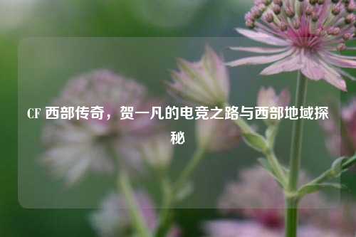 CF 西部传奇,贺一凡的电竞之路与西部地域探秘