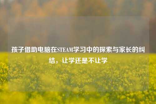 孩子借助电脑在STEAM学习中的探索与家长的纠结,让学还是不让学