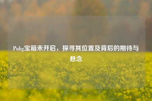 Pubg宝箱未开启，探寻其位置及背后的期待与悬念