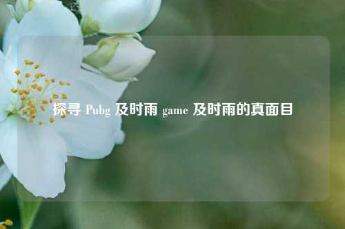 探寻 Pubg 及时雨 game 及时雨的真面目