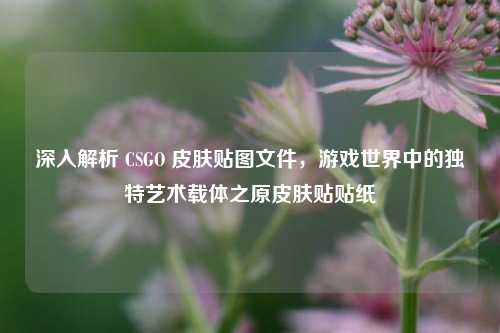 深入解析 CSGO 皮肤贴图文件，游戏世界中的独特艺术载体之原皮肤贴贴纸