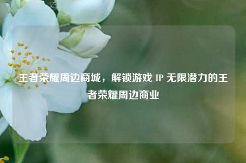 王者荣耀周边商城,解锁游戏 IP 无限潜力的王者荣耀周边商业