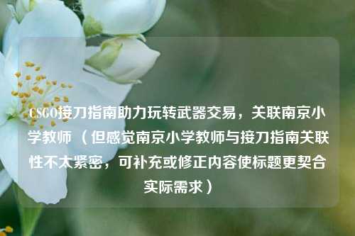 CSGO接刀指南助力玩转武器交易，关联南京小学教师 （但感觉南京小学教师与接刀指南关联性不太紧密，可补充或修正内容使标题更契合实际需求）