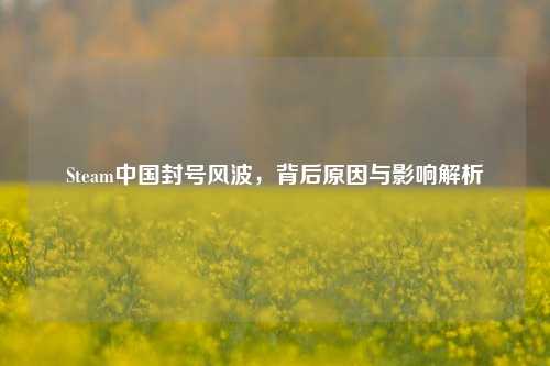 Steam中国封号风波，背后原因与影响解析