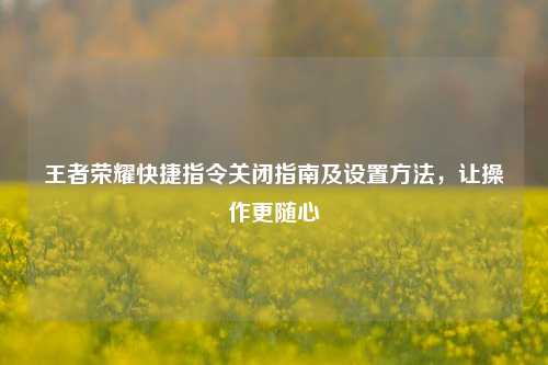 王者荣耀快捷指令关闭指南及设置方法,让操作更随心