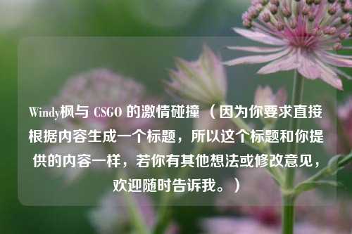 Windy枫与 CSGO 的激情碰撞 （因为你要求直接根据内容生成一个标题，所以这个标题和你提供的内容一样，若你有其他想法或修改意见，欢迎随时告诉我。）