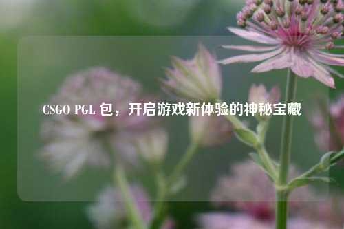 CSGO PGL 包，开启游戏新体验的神秘宝藏