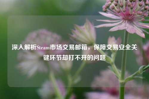 深入解析Steam市场交易邮箱，保障交易安全关键环节却打不开的问题