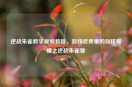 逆战朱雀教学视频教程，游戏世界里的别样碰撞之逆战朱雀猪