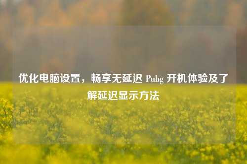 优化电脑设置,畅享无延迟 Pubg 开机体验及了解延迟显示方法