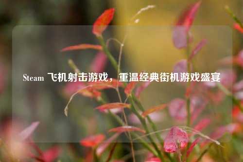 Steam 飞机射击游戏，重温经典街机游戏盛宴
