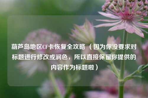 葫芦岛地区CF卡恢复全攻略 （因为你没要求对标题进行修改或润色，所以直接保留你提供的内容作为标题啦）