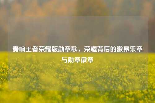 奏响王者荣耀版勋章歌，荣耀背后的激昂乐章与勋章徽章