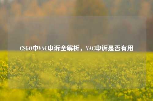 CSGO中VAC申诉全解析,VAC申诉是否有用