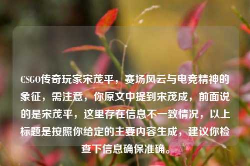 CSGO传奇玩家宋茂平，赛场风云与电竞精神的象征，需注意，你原文中提到宋茂成，前面说的是宋茂平，这里存在信息不一致情况，以上标题是按照你给定的主要内容生成，建议你检查下信息确保准确。