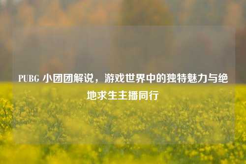 PUBG 小团团解说，游戏世界中的独特魅力与绝地求生主播同行