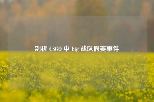 剖析 CSGO 中 big 战队假赛事件