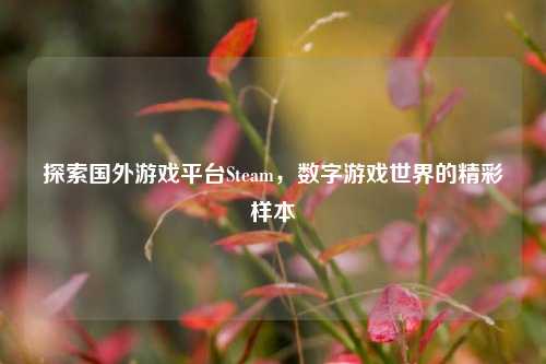 探索国外游戏平台Steam,数字游戏世界的精彩样本