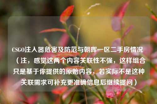 CSGO注入器危害及防范与朝晖一区二手房情况 (注,感觉这两个内容关联性不强,这样组合只是基于你提供的原始内容,若实际不是这种关联需求可补充更准确信息后继续提问)