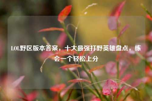 LOL野区版本答案，十大最强打野英雄盘点，练会一个轻松上分
