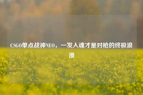 CSGO单点战神NEO,一发入魂才是对枪的终极浪漫