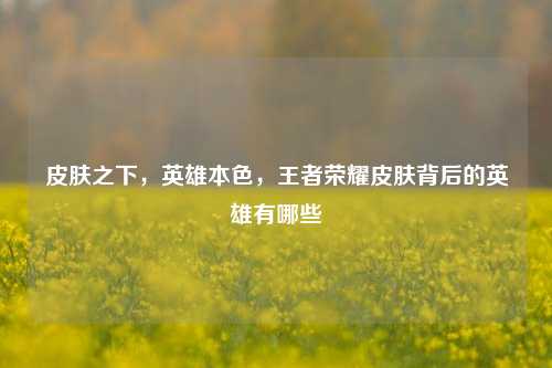 皮肤之下，英雄本色，王者荣耀皮肤背后的英雄有哪些
