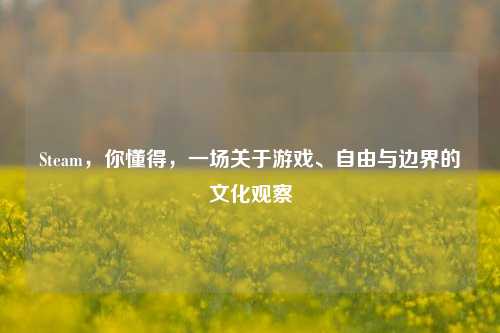 Steam,你懂得,一场关于游戏、自由与边界的文化观察