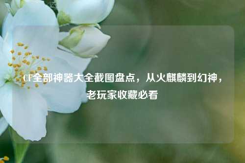 CF全部神器大全截图盘点，从火麒麟到幻神，老玩家收藏必看