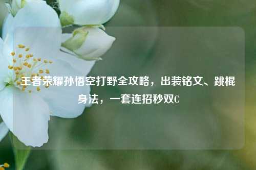王者荣耀孙悟空打野全攻略，出装铭文、跳棍身法，一套连招秒双C