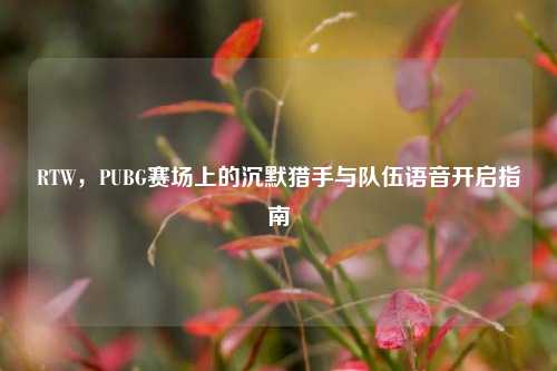 RTW，PUBG赛场上的沉默猎手与队伍语音开启指南