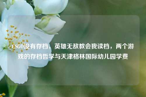 CSGO没有存档，英雄无敌教会我读档，两个游戏的存档哲学与天津格林国际幼儿园学费