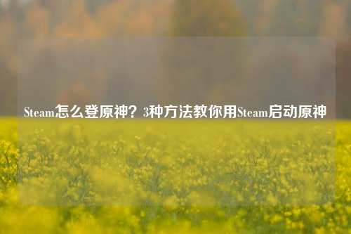 Steam怎么登原神?3种方法教你用Steam启动原神
