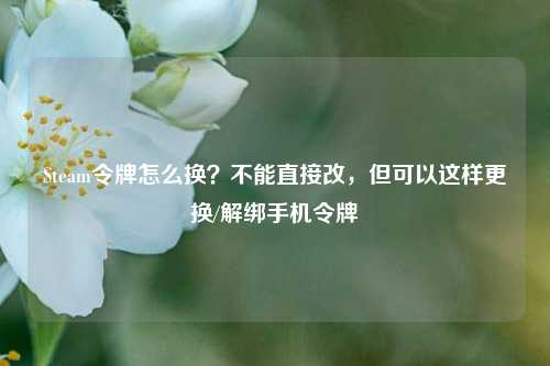 Steam令牌怎么换？不能直接改，但可以这样更换/解绑手机令牌