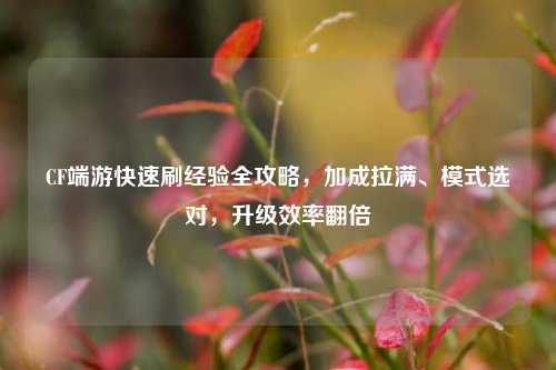 CF端游快速刷经验全攻略，加成拉满、模式选对，升级效率翻倍
