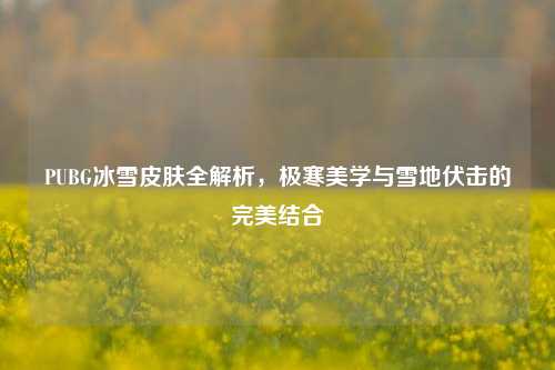 PUBG冰雪皮肤全解析,极寒美学与雪地伏击的完美结合