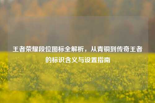王者荣耀段位图标全解析，从青铜到传奇王者的标识含义与设置指南