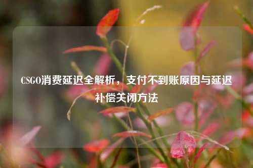 CSGO消费延迟全解析，支付不到账原因与延迟补偿关闭方法