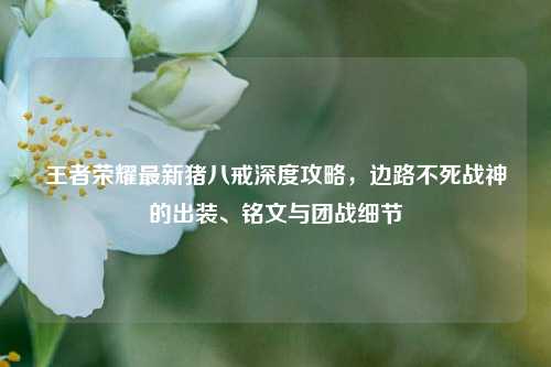 王者荣耀最新猪八戒深度攻略，边路不死战神的出装、铭文与团战细节