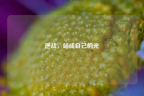 逆战，站成自己的光