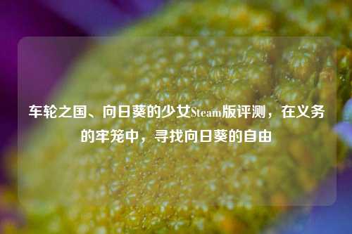 车轮之国、向日葵的少女Steam版评测，在义务的牢笼中，寻找向日葵的自由