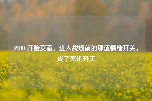 PUBG开始页面，进入战场前的那道情绪开关，成了死机开关