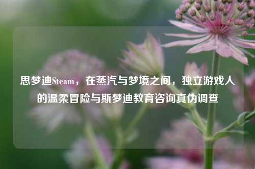 思梦迪Steam，在蒸汽与梦境之间，独立游戏人的温柔冒险与斯梦迪教育咨询真伪调查