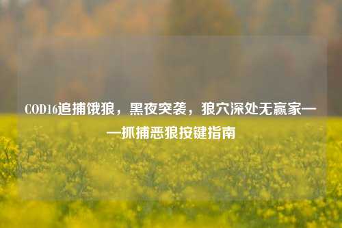 COD16追捕饿狼，黑夜突袭，狼穴深处无赢家——抓捕恶狼按键指南
