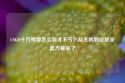 CSGO十万预算怎么花才不亏?从主机到皮肤全套方案来了