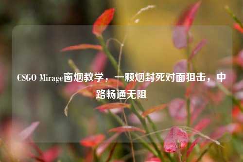 CSGO Mirage窗烟教学,一颗烟封死对面狙击,中路畅通无阻