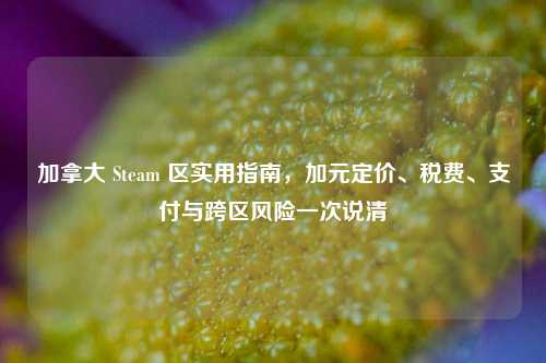 加拿大 Steam 区实用指南,加元定价、税费、支付与跨区风险一次说清