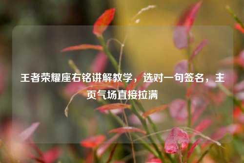 王者荣耀座右铭讲解教学，选对一句签名，主页气场直接拉满